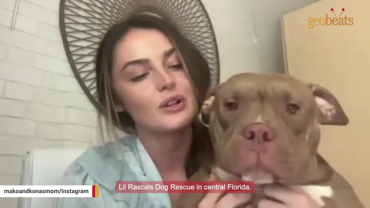 A woman with long brown hair holds a brown pit bull-type dog close to her chest as she speaks.