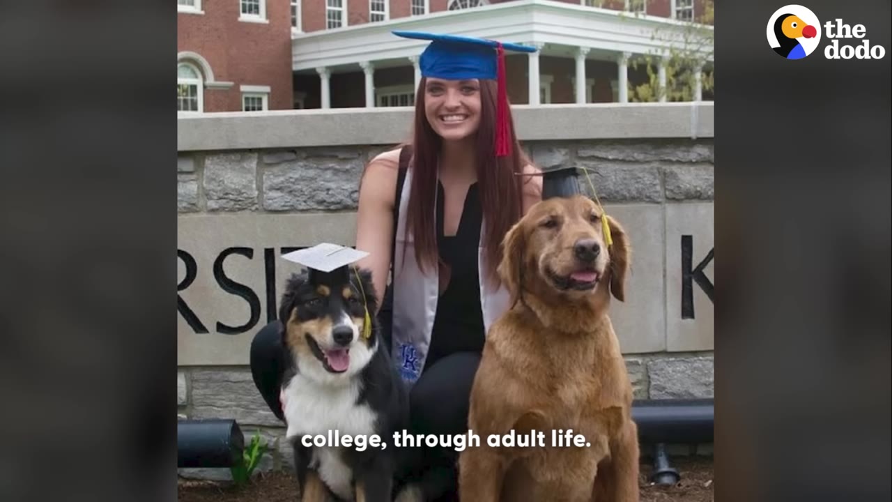 A smiling woman in a blue graduation cap and gown sits between two dogs wearing miniature graduation caps in front of a university building.