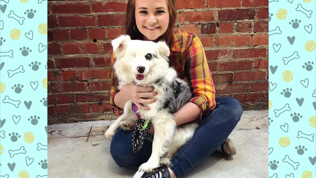 A smiling woman with brown hair sits on the ground in front of a brick wall, holding a fluffy white and grey dog with one eye.