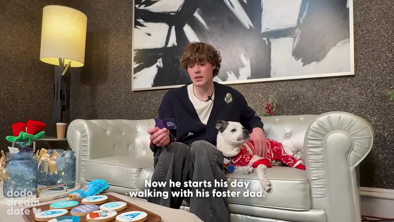 A young man with brown hair sits on a white leather couch next to a small white and black dog wearing a red and white sweater, with text on screen reading 'Now he starts his day walking with his foster dad.'