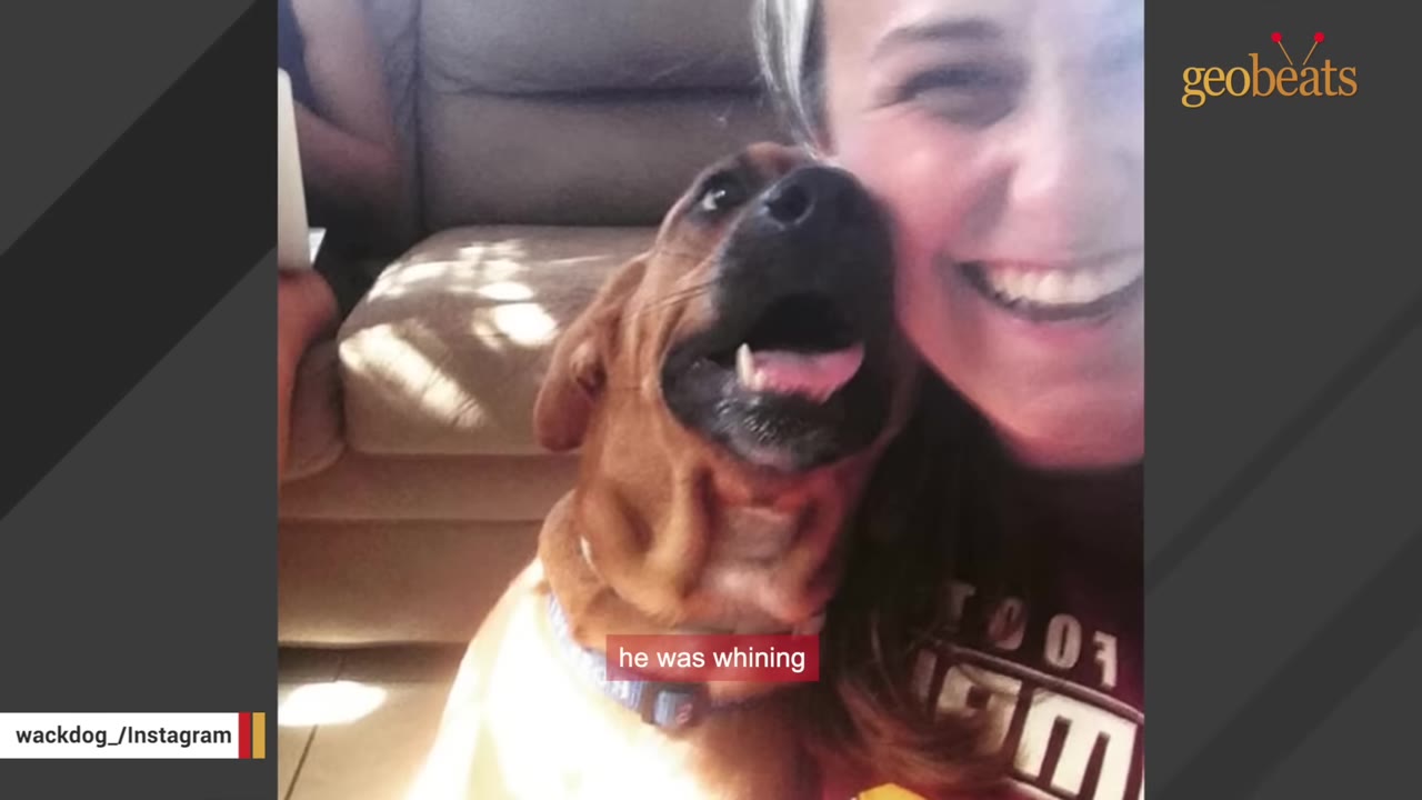 A smiling woman next to a brown dog looking up with its mouth open.