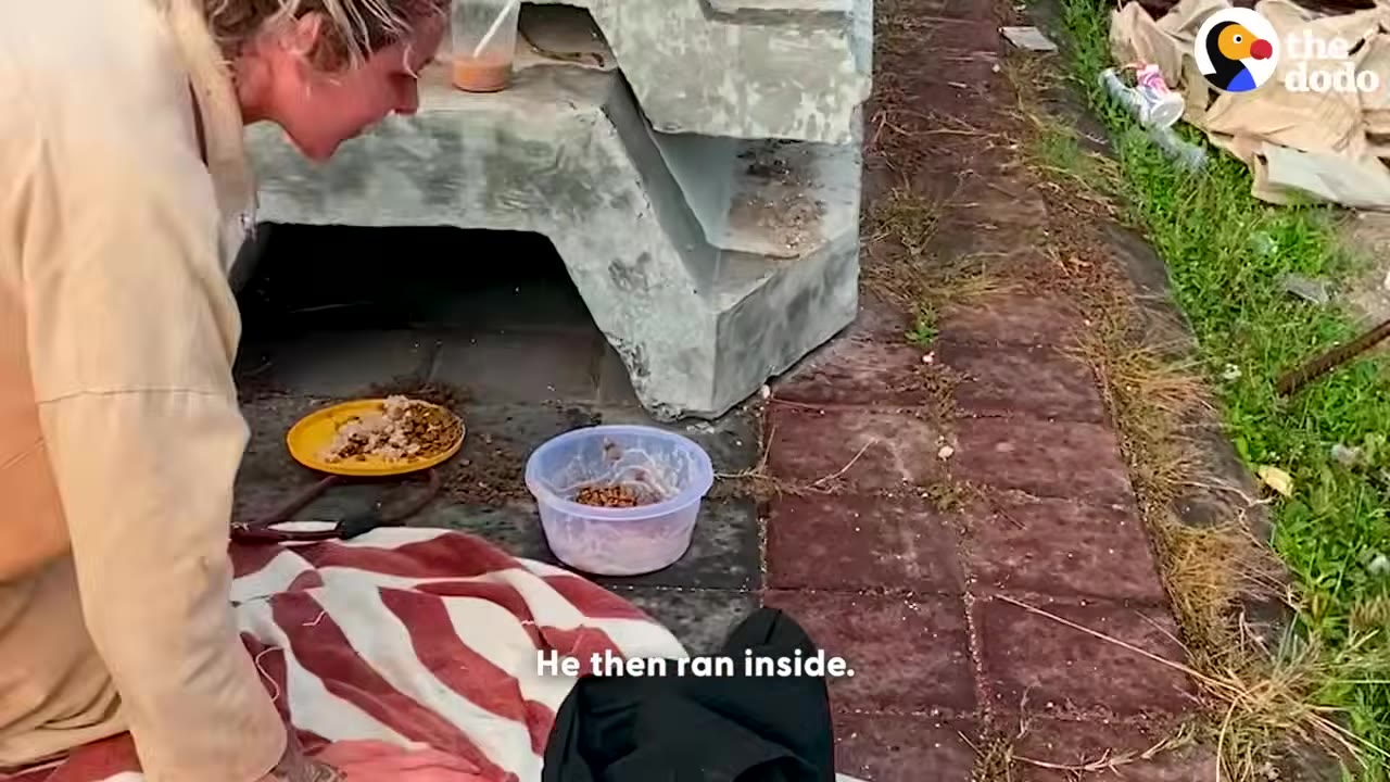 A person looks into the opening of a concrete structure where food bowls and a blanket are placed on the ground.