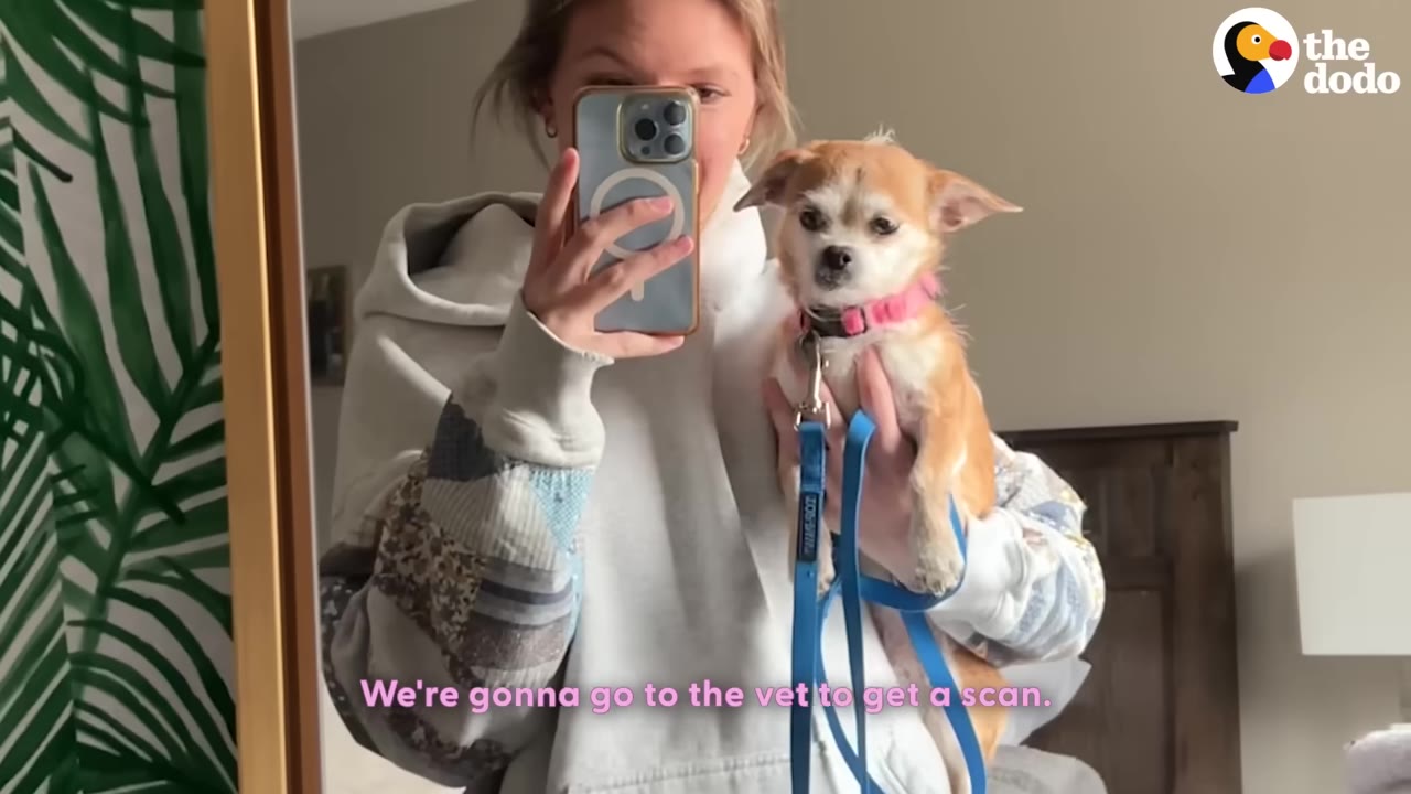 A woman takes a mirror selfie while holding a small tan and white dog wearing a pink collar and a blue leash, with text overlay reading 'We're gonna go to the vet to get a scan.'