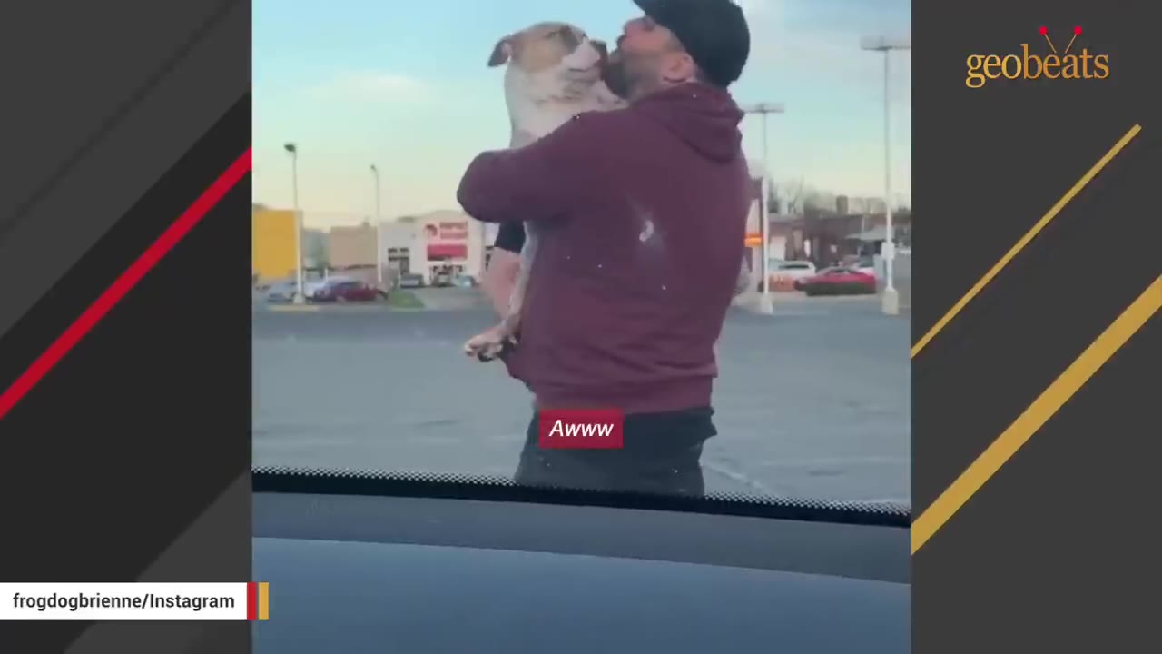 A man in a maroon hoodie and black cap holding a pit bull-type dog in his arms in an outdoor parking lot.