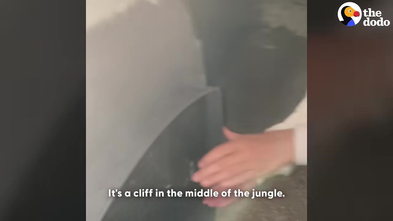 A person's hand near a car tire at night with the subtitle 'It's a cliff in the middle of the jungle.'