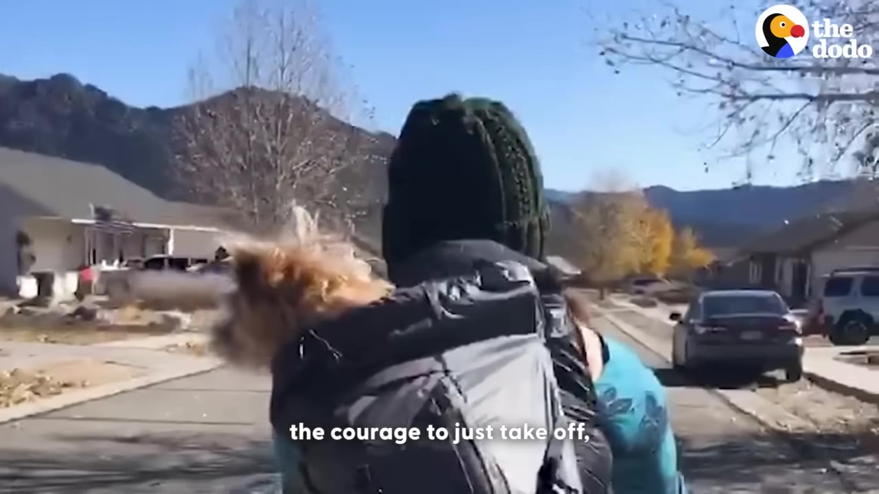 A person wearing a green beanie and a backpack walks down a residential street with a small, fluffy brown dog nestled inside the backpack, looking over their shoulder.