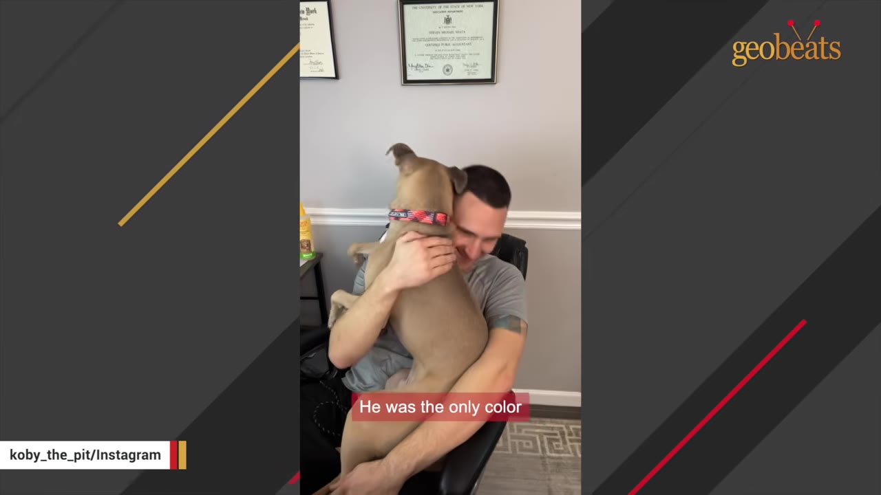 A man sitting in an office chair smiles as he hugs a tan puppy wearing a red collar.