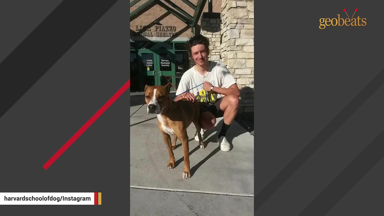 A man crouching next to a brown and white dog on a leash outside the Lisa Piazzo Animal Shelter.