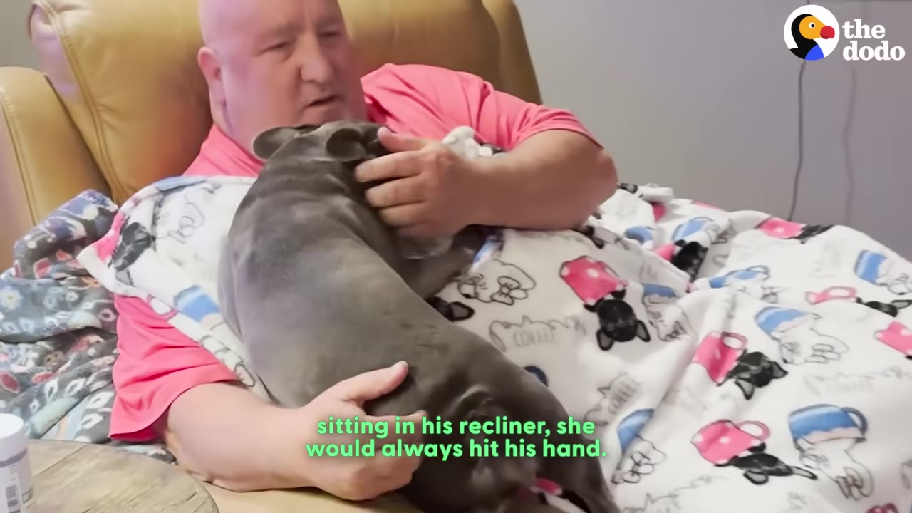 A man in a pink shirt sits in a tan leather recliner with a grey French bulldog cuddled on his lap under a patterned blanket.