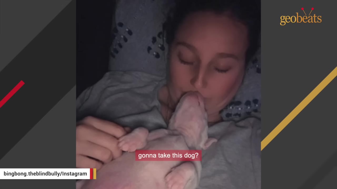 A woman lying down with a tiny pinkish puppy resting on her chest as she looks down at it.