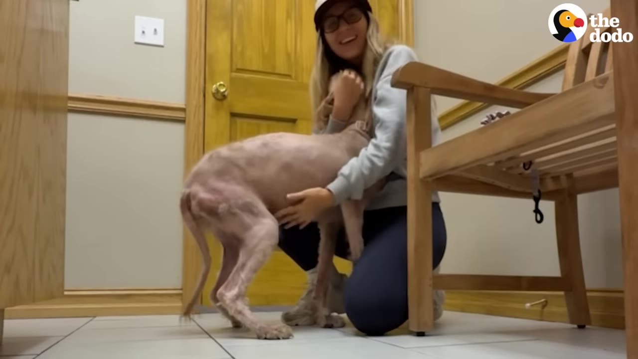 A woman in a grey sweatshirt and glasses kneels on a tiled floor to hug a dog with severe hair loss in a room with a wooden door and bench.