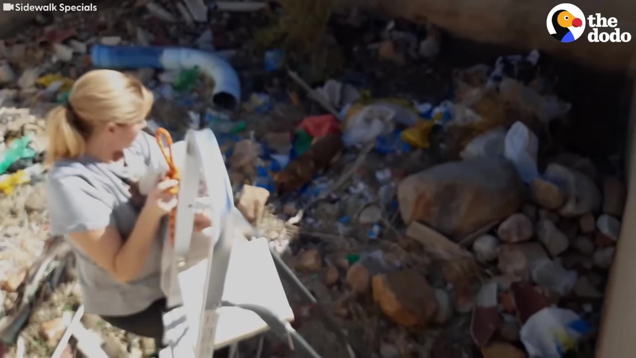 A woman with blonde hair climbs down a white ladder into a deep, trash-filled pit to reach a small brown dog.