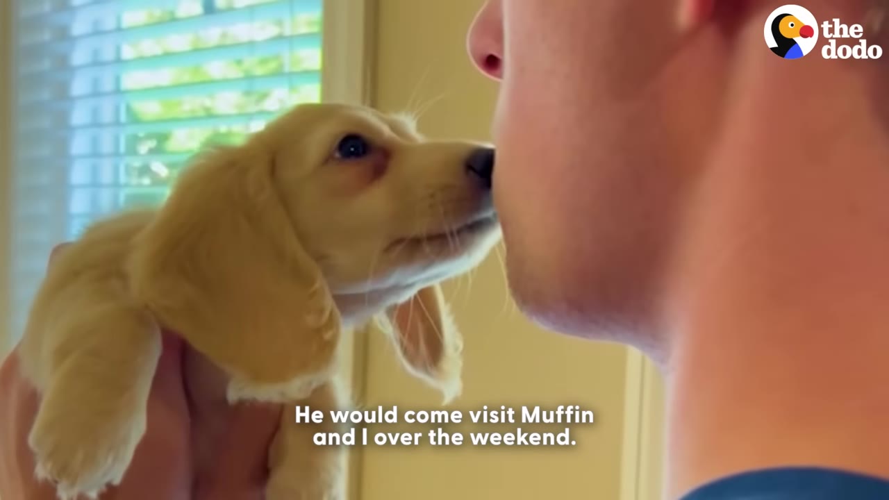 A close-up profile of a man's face as a small golden puppy touches its nose to his.