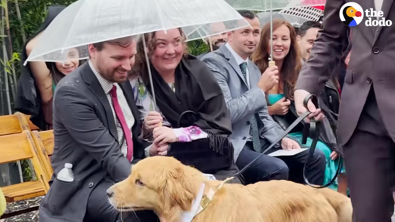 A golden retriever dog on a leash is petted by a smiling wedding guest sitting under a clear umbrella, while other guests in the background look on happily.