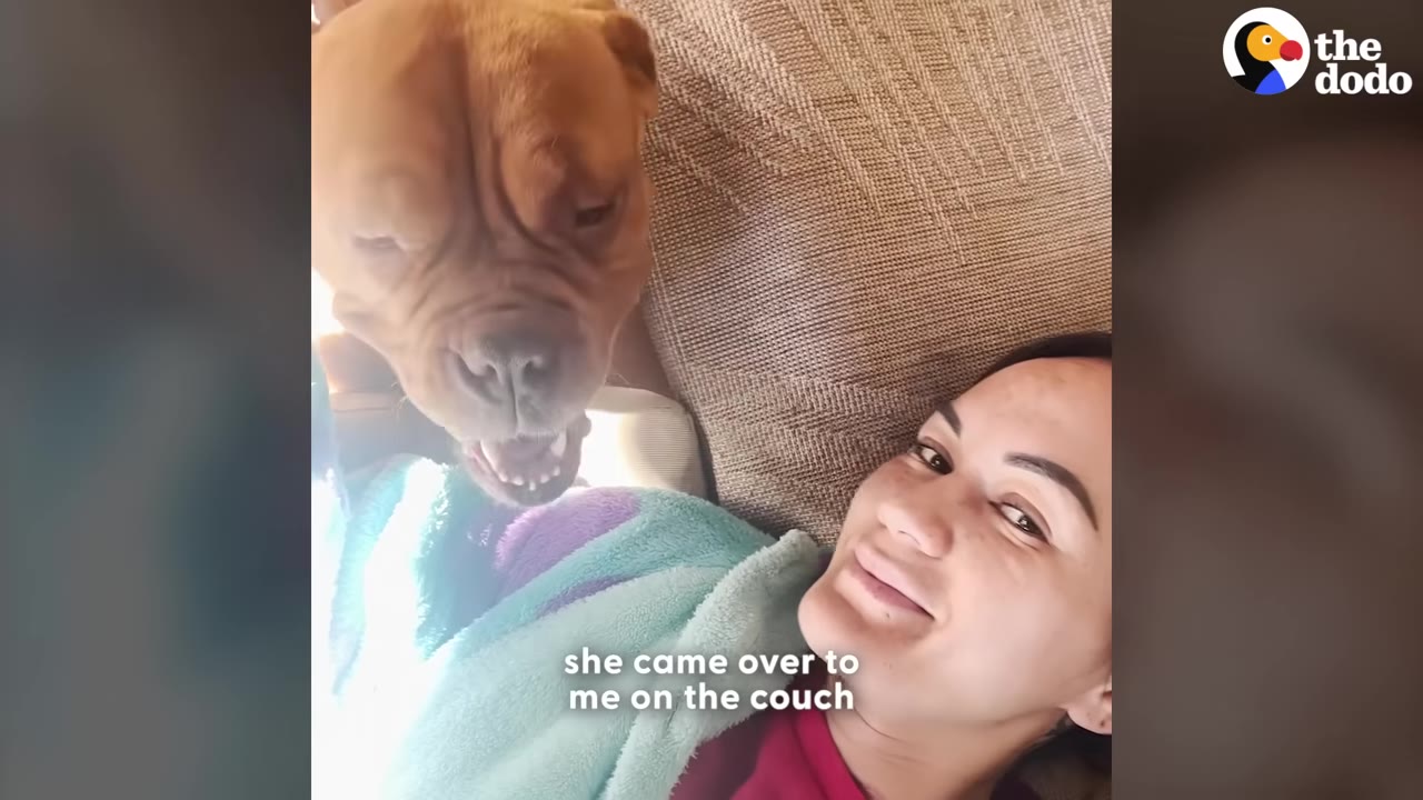 A smiling woman lies on a couch as a large, light brown dog leans over her with its mouth slightly open in a relaxed expression.