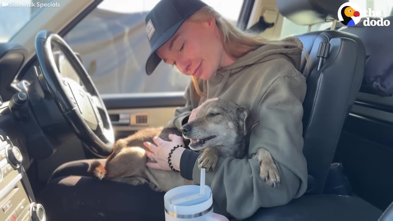 A woman wearing a black baseball cap and olive green hoodie sits in the passenger seat of a car, gently cradling a small brown dog in her lap as the dog rests peacefully with closed eyes.