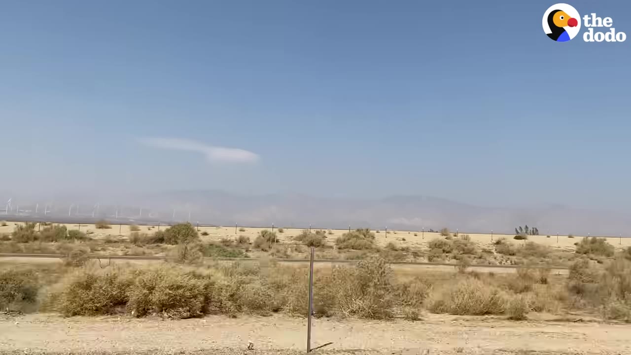 A wide shot of a desert landscape with dry brush, a clear blue sky, and distant mountains under a light haze.