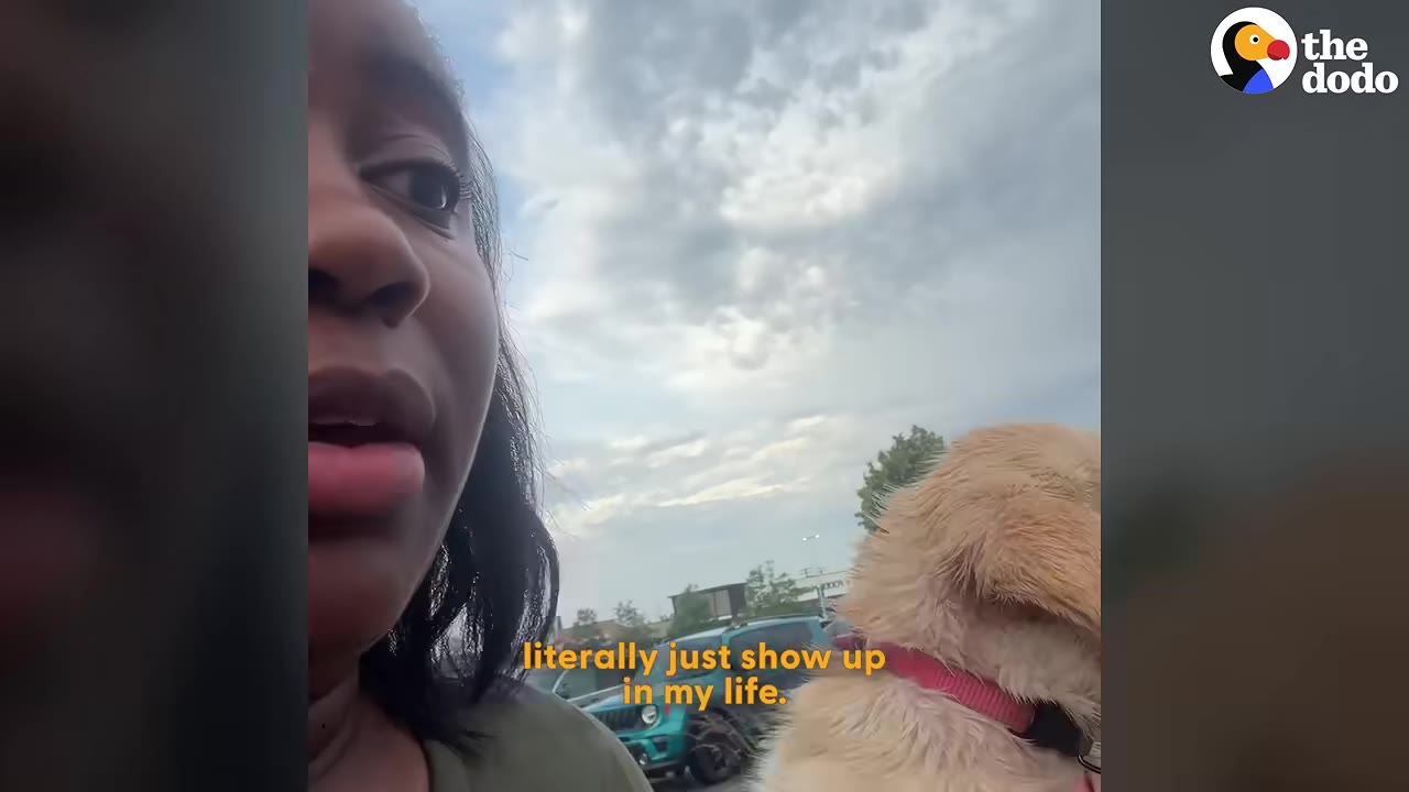 A close-up of a woman looking to the side outdoors under a cloudy sky, with the back of a light-colored dog's head visible next to her and subtitles reading 'literally just show up in my life.'