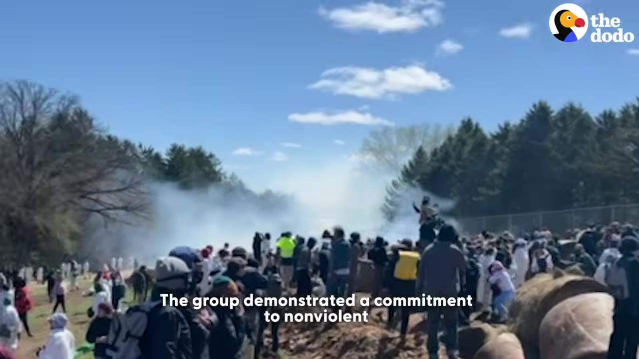 A large crowd of demonstrators gathered outdoors in a field near a treeline under a blue sky with light clouds.