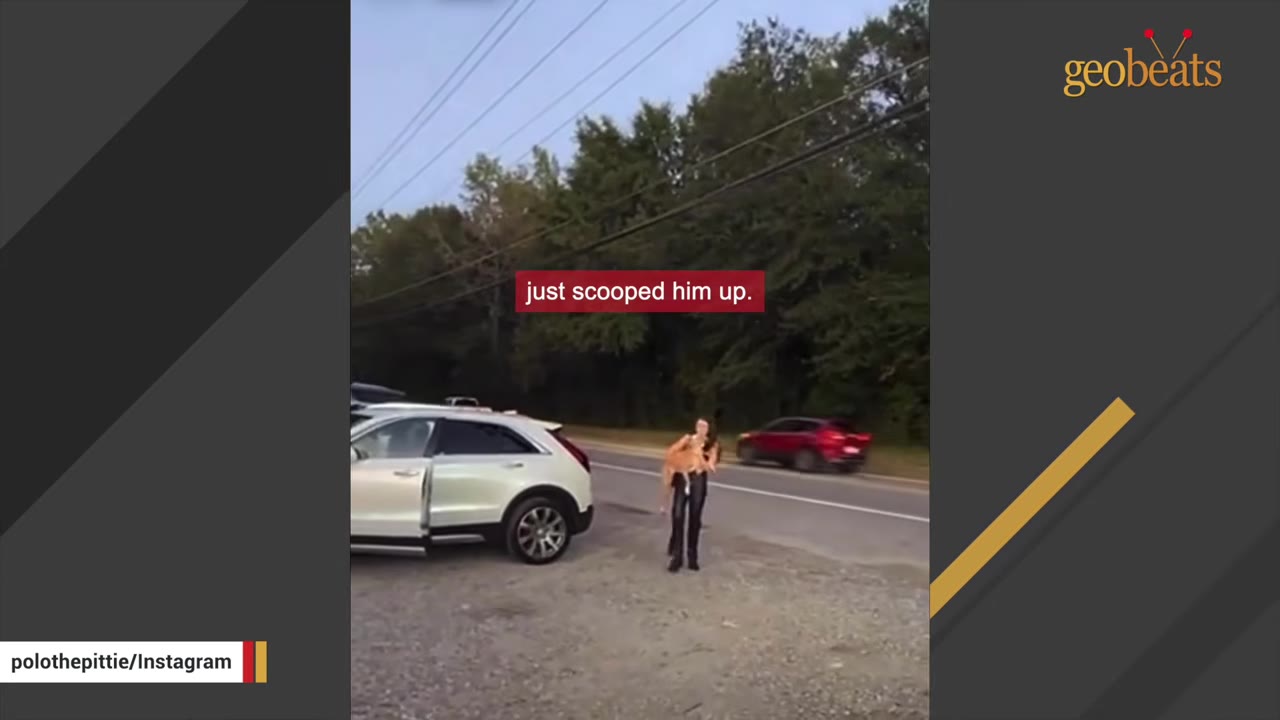 A woman carrying a tan dog in her arms walks towards a white SUV parked on the side of a road.