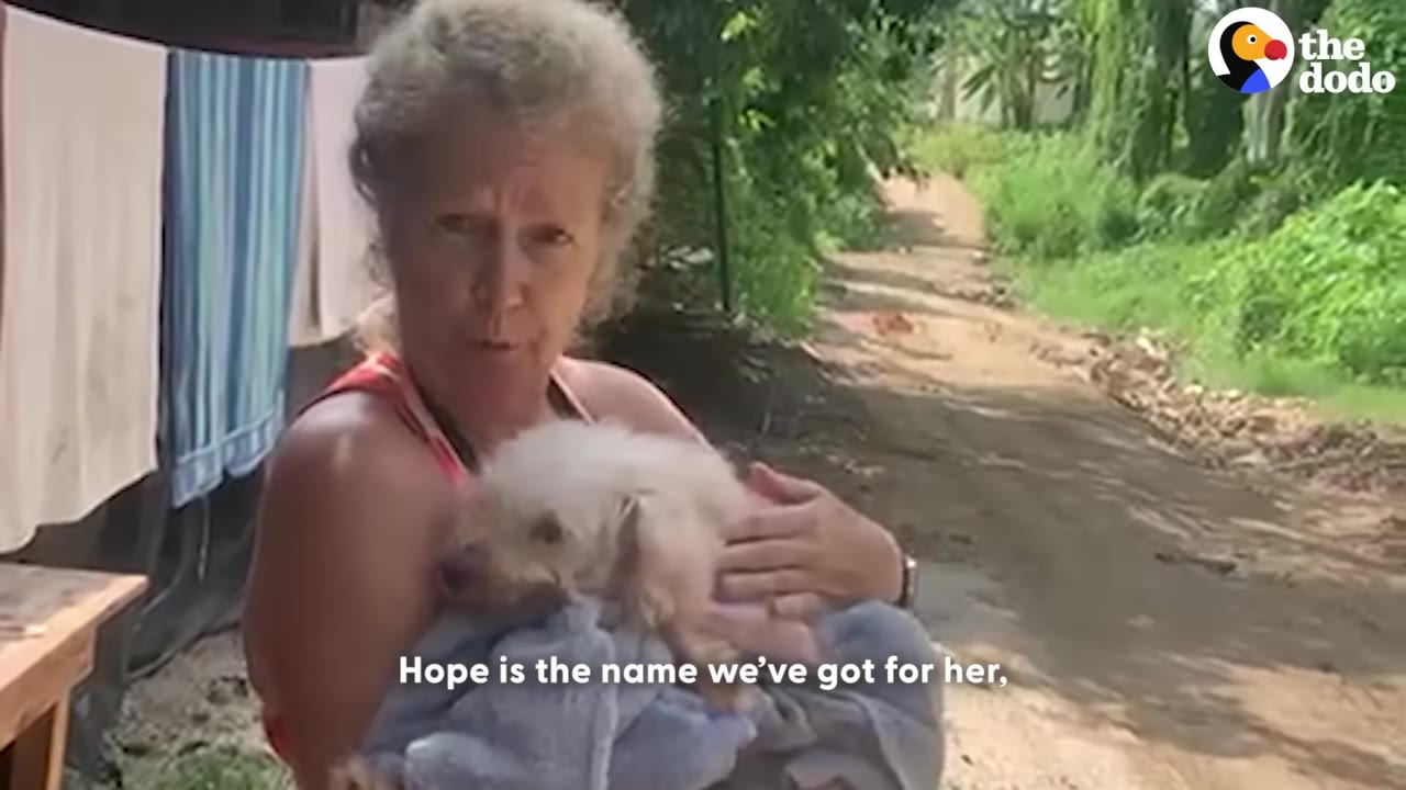 A woman with curly grey hair holds a small, fluffy white dog wrapped in a blue towel while standing on a dirt path.