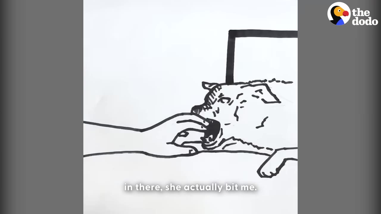 A black and white line drawing depicting a dog biting a person's hand as they reach towards it.