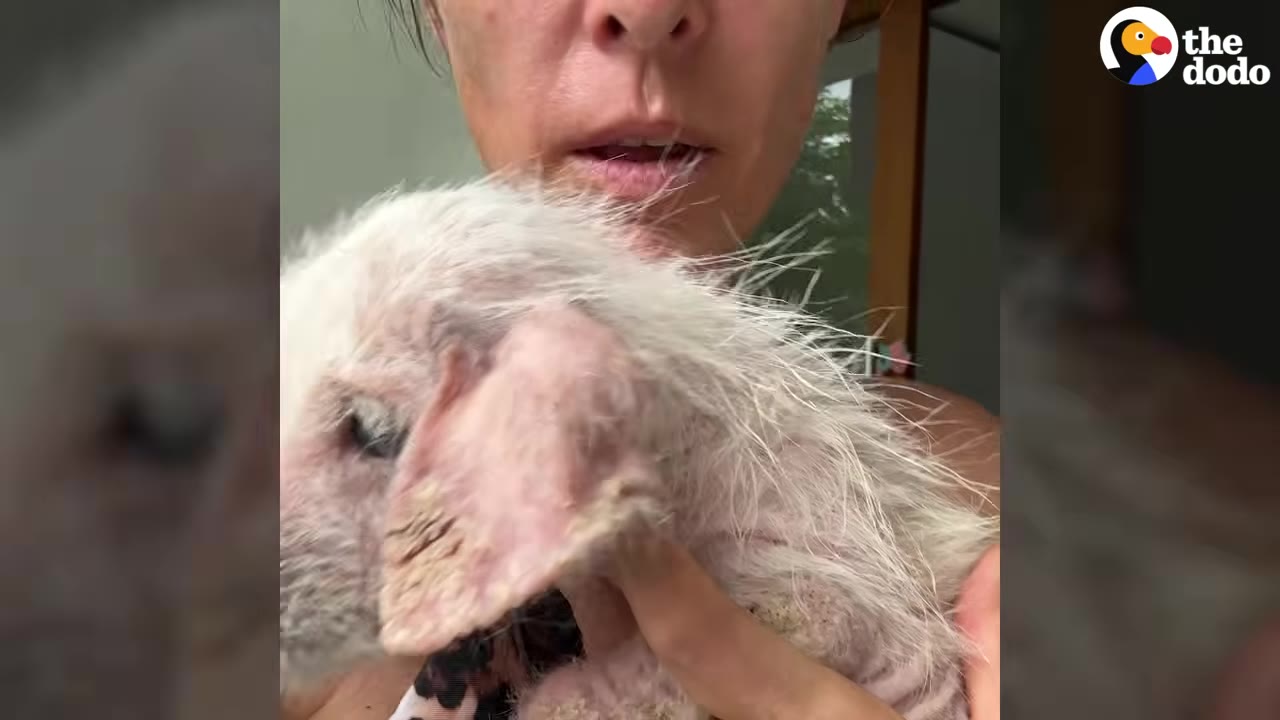 A close-up of a woman holding a small, scruffy puppy with pinkish skin close to her chest.