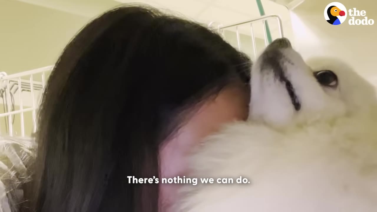 A close-up of a woman with dark hair burying her face in the white fur of her dog, who is looking up, with the caption 'There's nothing we can do.'