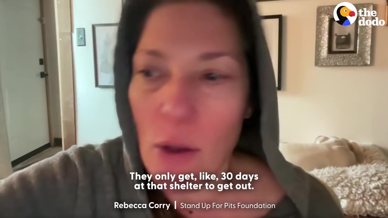 A close-up shot of Rebecca Corry wearing a grey hoodie, speaking with a serious expression, with a subtitle that reads, 'They only get, like, 30 days at that shelter to get out.'
