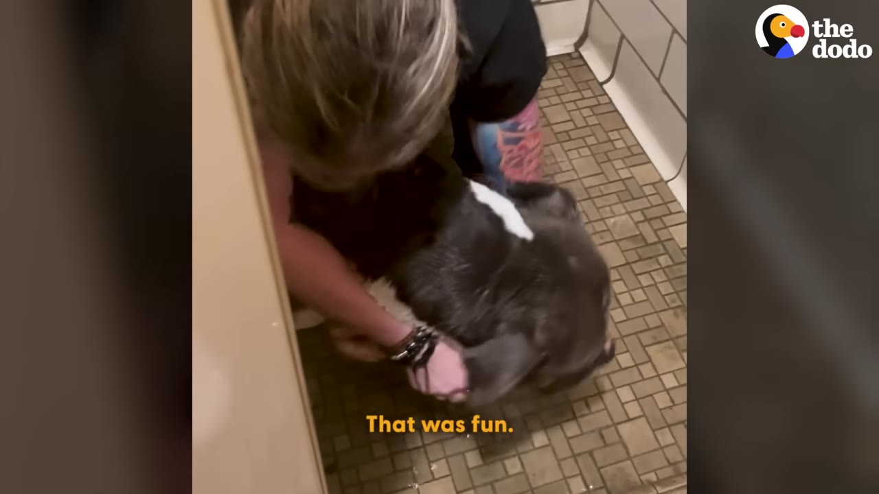 A person with blonde hair and tattoos kneeling on a tiled shower floor, holding a grey and white dog.
