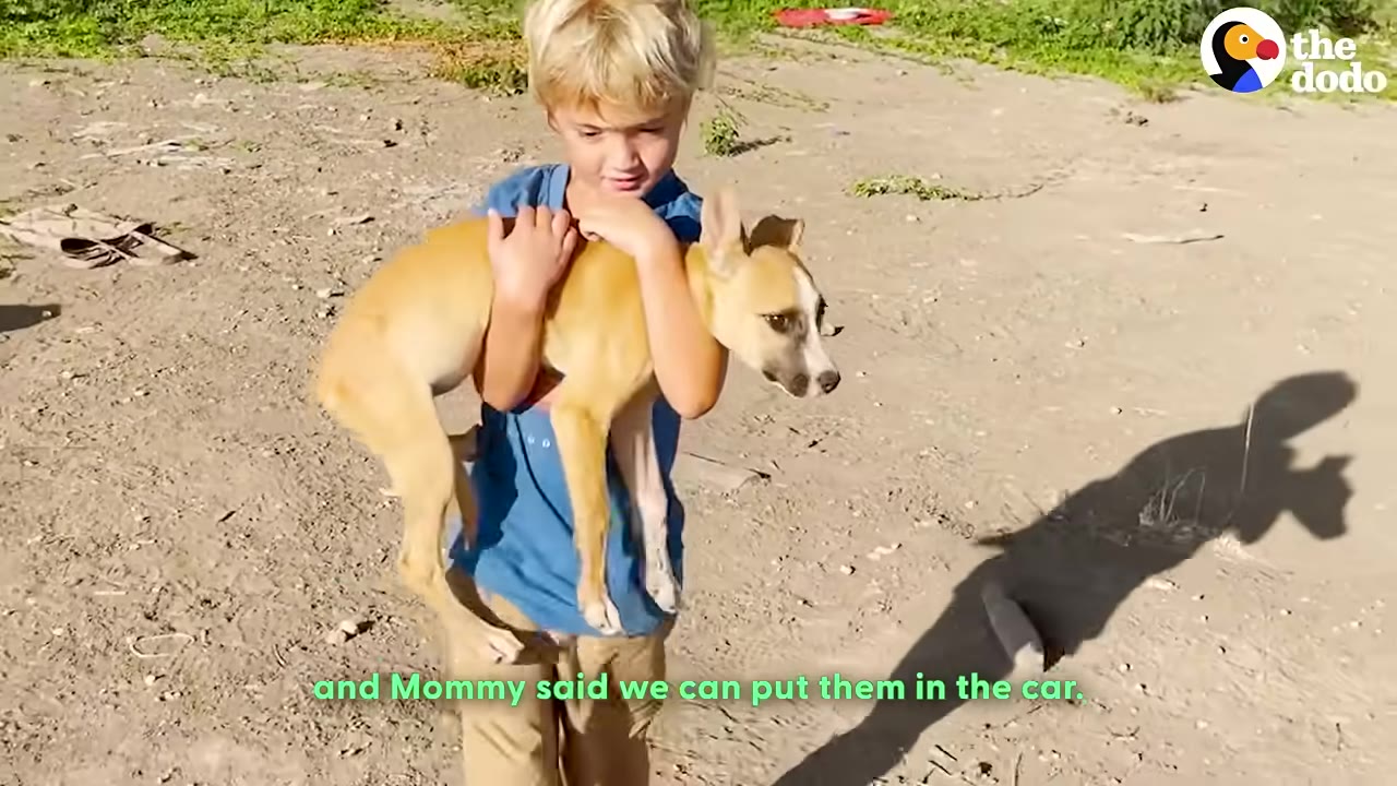A young blonde boy in a blue shirt carries a light brown puppy in his arms across a dirt field.