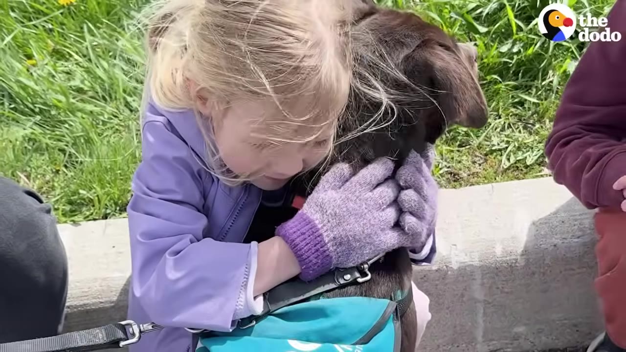 A young girl with blonde hair wearing a purple jacket and purple knit gloves hugs a brown dog tightly around the neck.