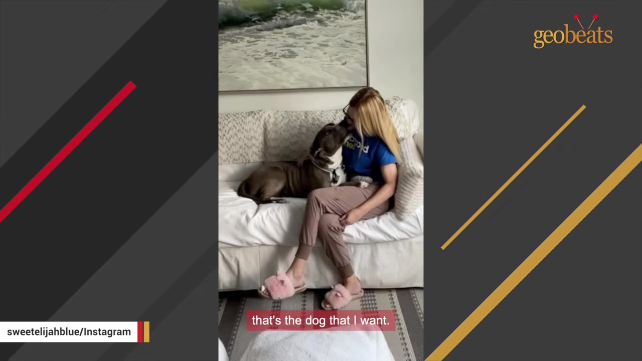 A blonde woman in a blue t-shirt and brown pants sits on a white couch next to a grey and white dog who is leaning in to lick her face.