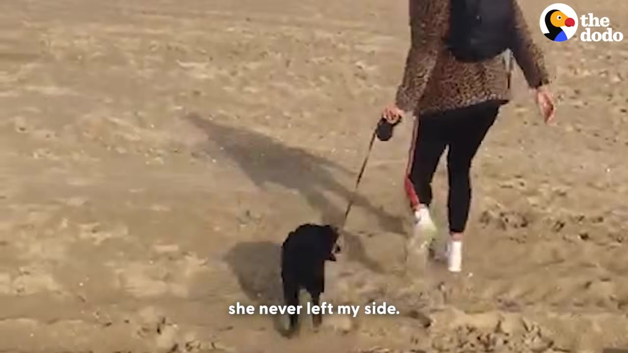 A woman in a leopard-print jacket walks a small black dog on a leash across a sandy beach.