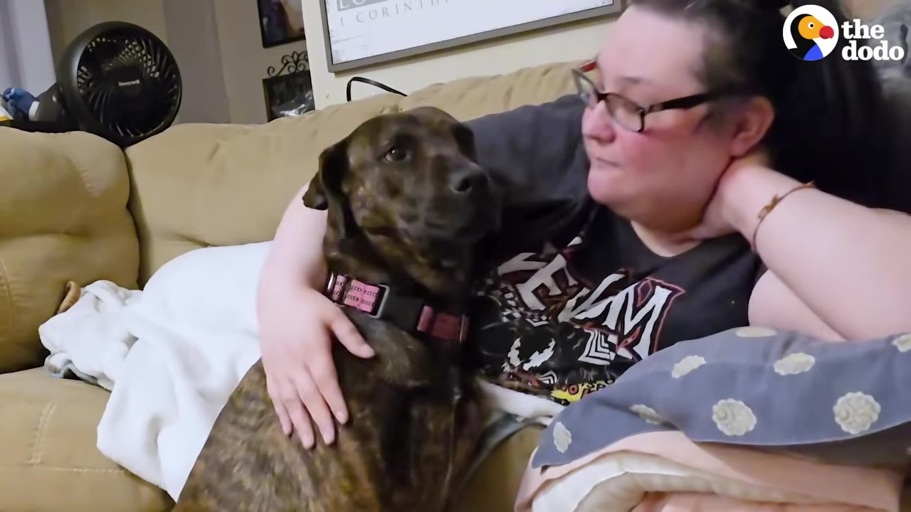 A woman with glasses cuddles a brindle dog on a couch, wrapping her arm around it as they look towards each other.