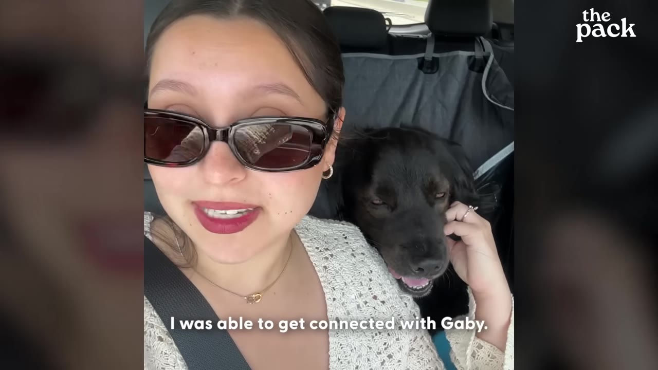 A woman wearing sunglasses smiles next to a black dog in the back seat of a car.