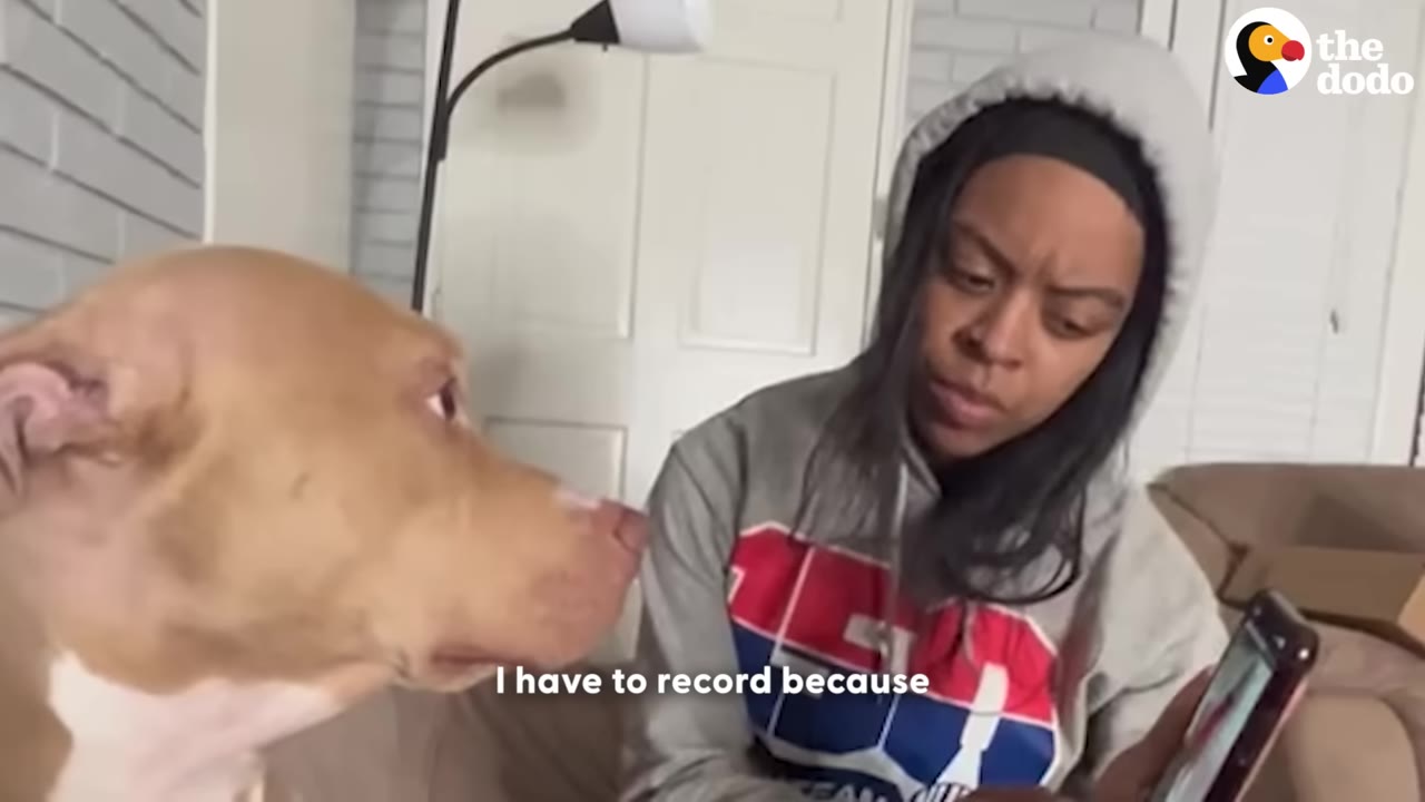 A woman in a grey hoodie holds up her phone to record a tan and white dog sitting next to her.