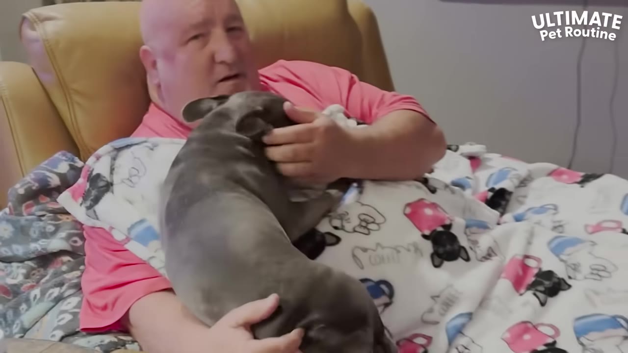 A man in a pink shirt sits in a tan leather recliner, holding a grey French bulldog on his lap under a patterned blanket.