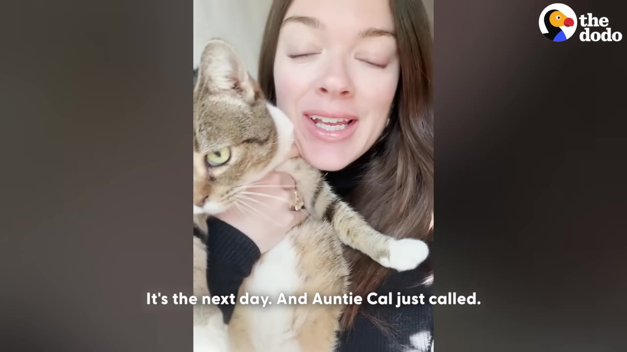 A woman with long brown hair holds a tabby cat close to her chest while speaking to the camera, with a subtitle that reads 'It's the next day. And Auntie Cal just called.'