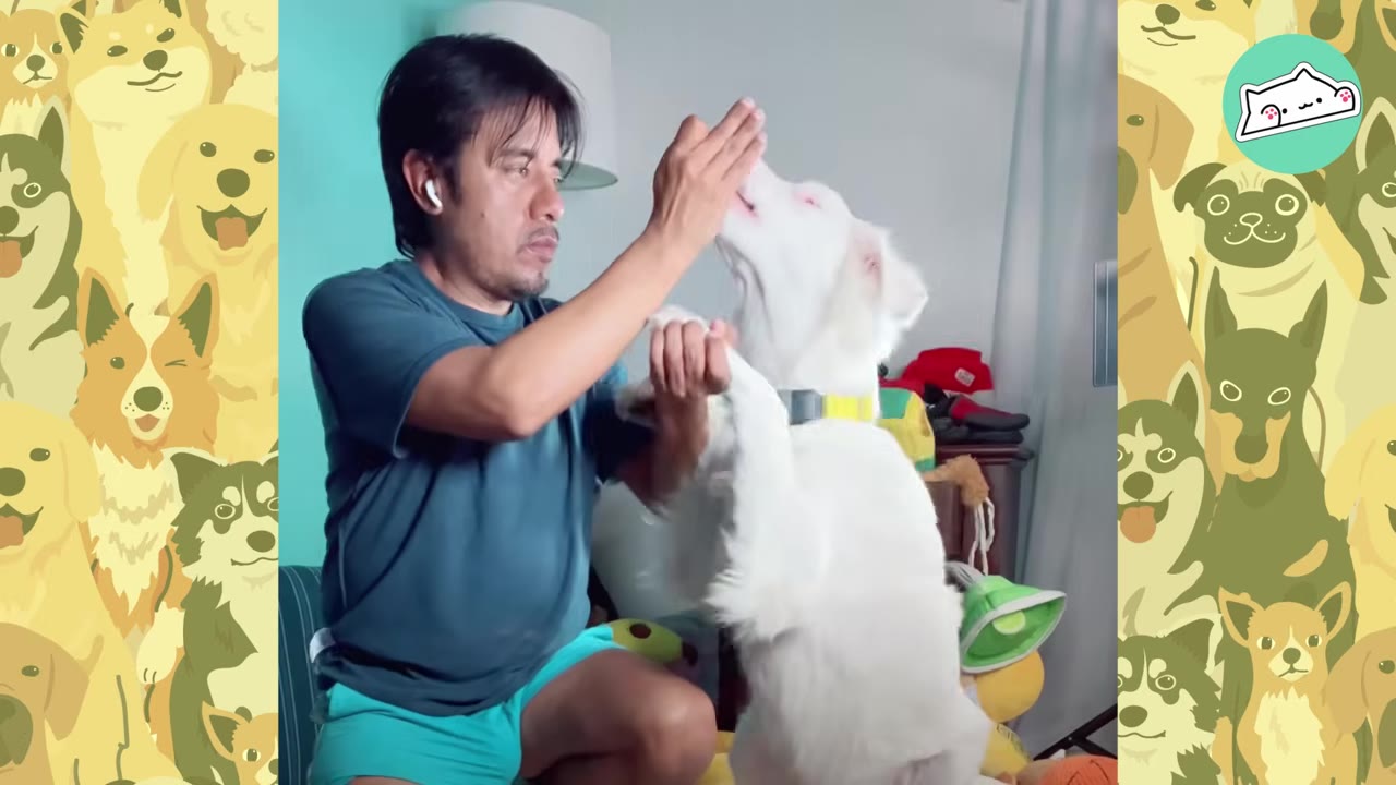 A man holding a white dog's paw while touching its snout to communicate.