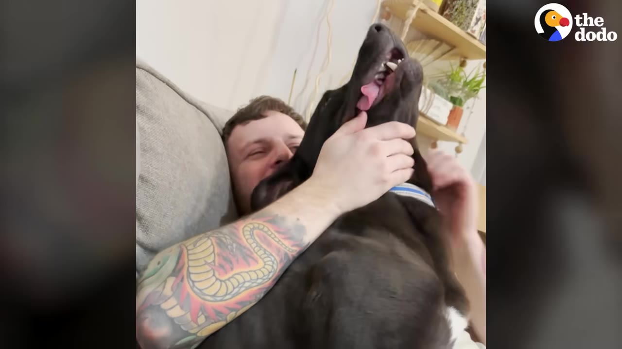 A man with a tattooed arm cuddles a black dog on a couch, and the dog happily throws its head back with its mouth open and tongue out.