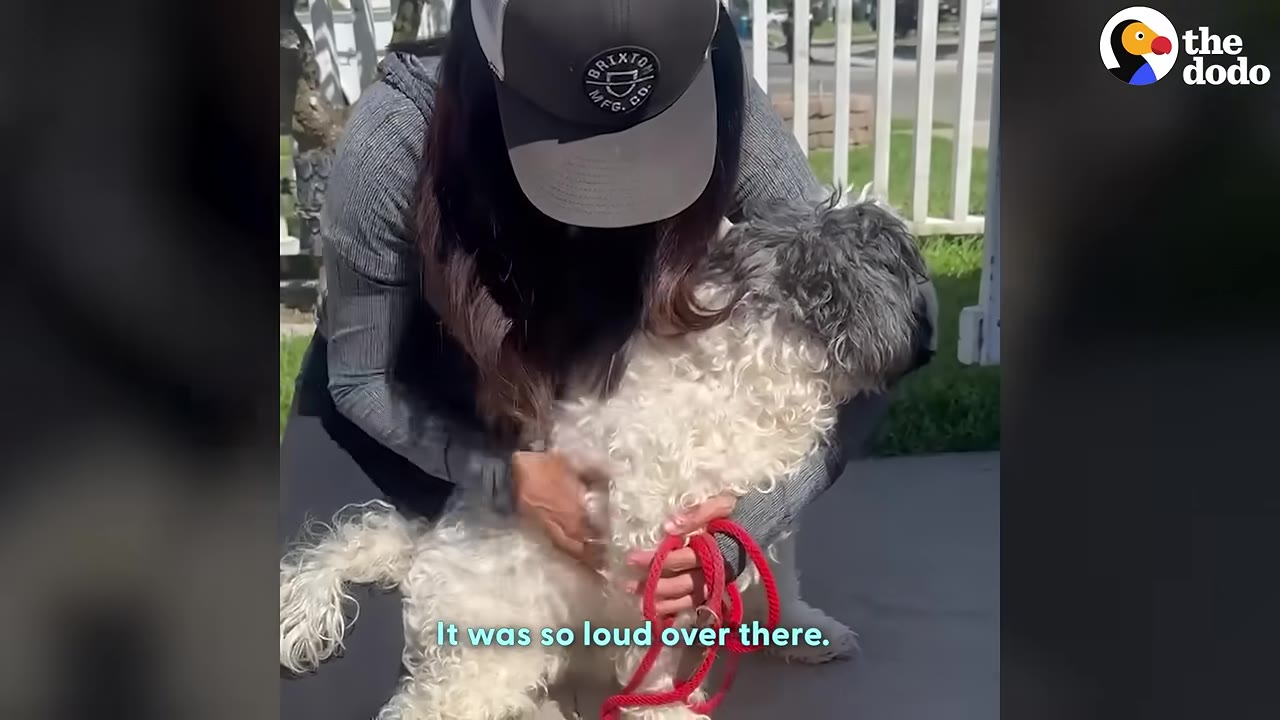 A woman wearing a grey cap and long-sleeved shirt kneels on a sidewalk to hug a fluffy white and grey dog on a red leash.