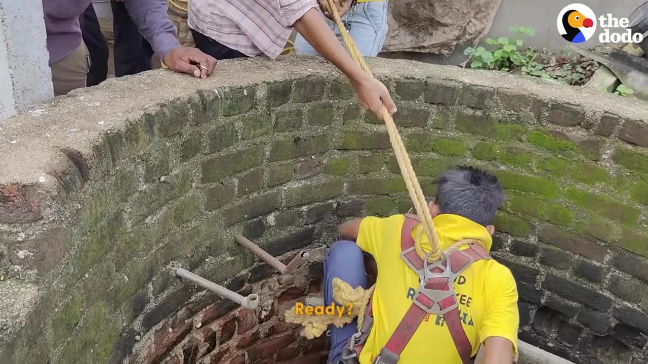A man in a yellow shirt and safety harness sits on the edge of a brick well as a thick rope is attached to his harness.