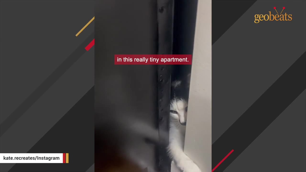 A black and white cat peeks out from a narrow gap between a dark wall and a white door frame.