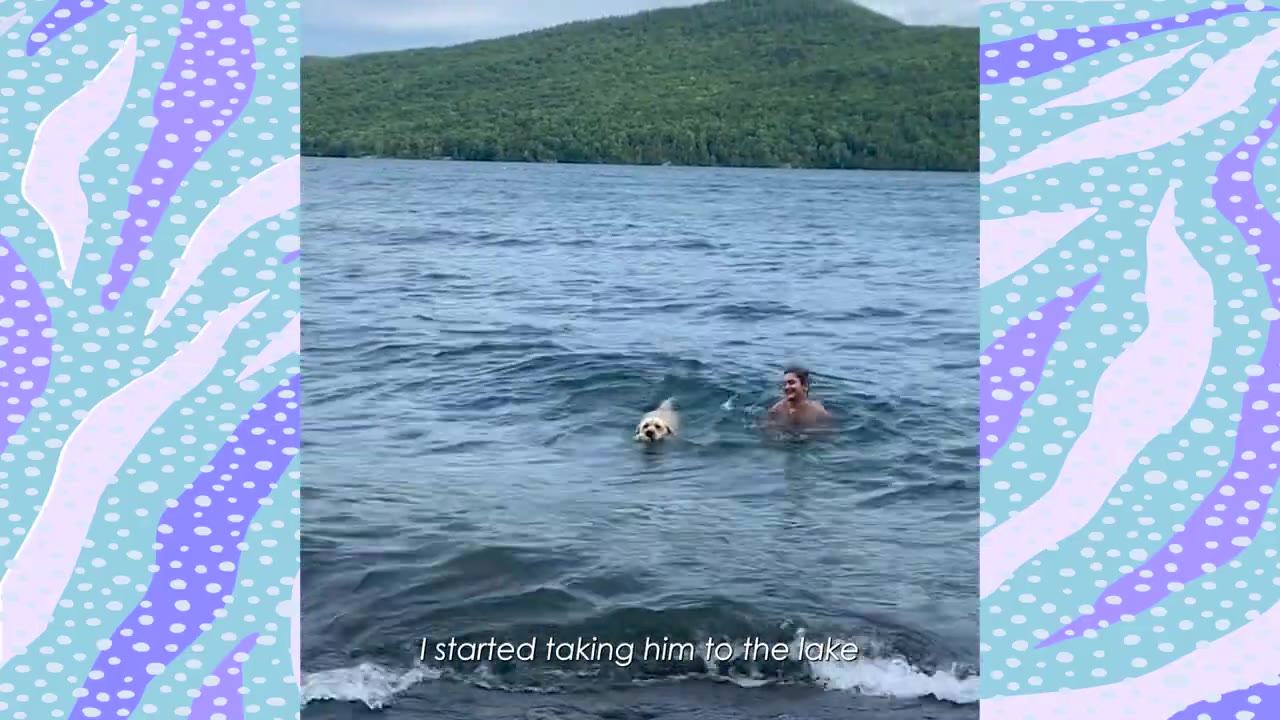 A yellow dog and a person swim together in a large lake with a forested hill in the background.