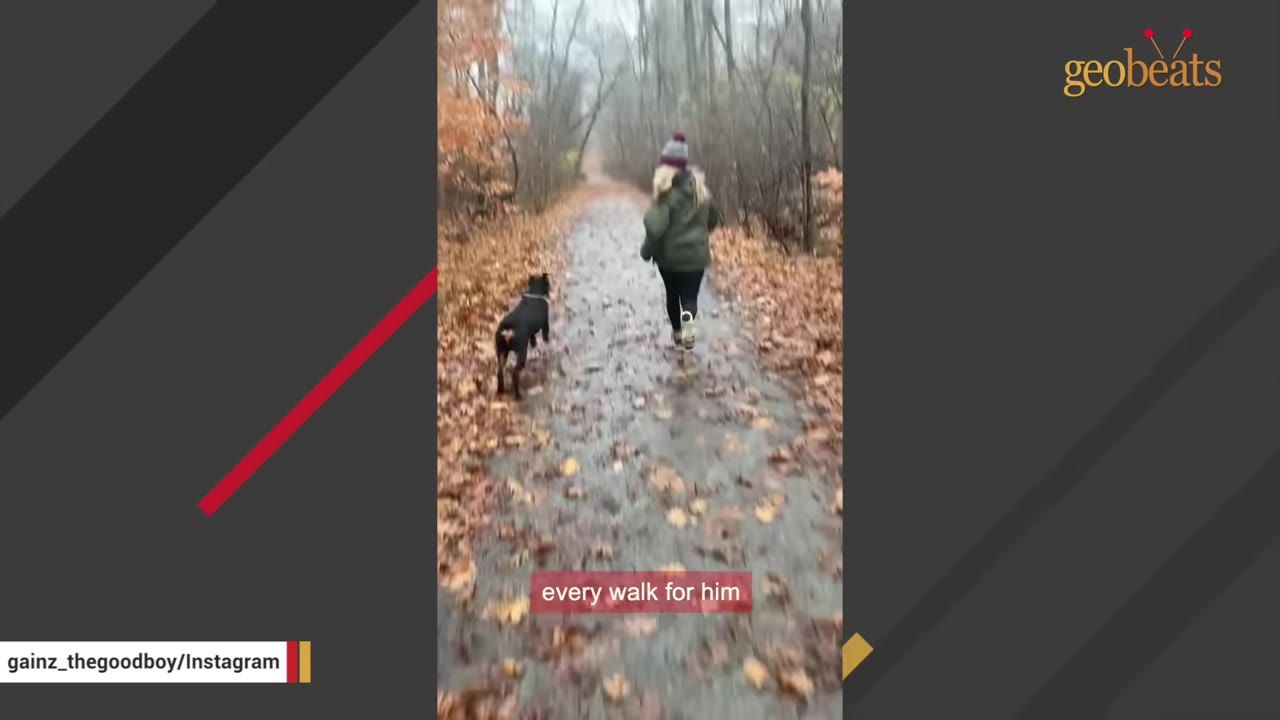 A black dog and a person wearing a winter hat and jacket walk down a wet path covered in autumn leaves.