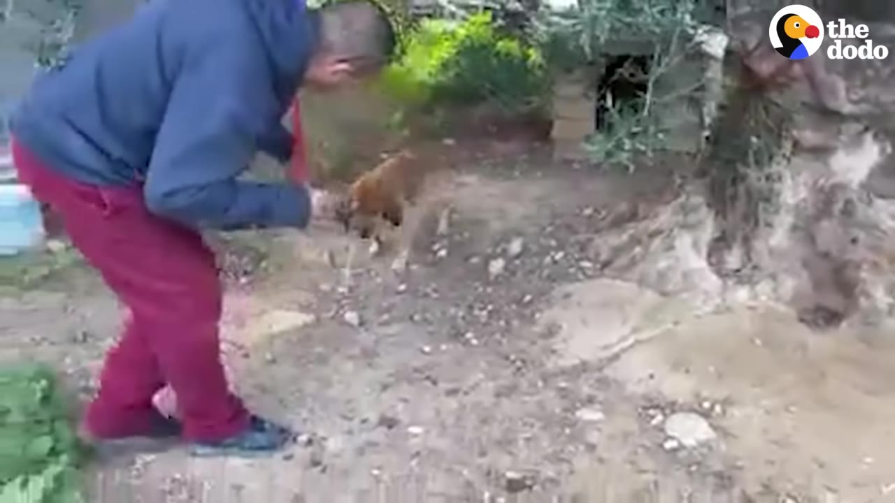 A man in a blue hoodie and red pants leans down to unchain a small brown dog outdoors near a tree.