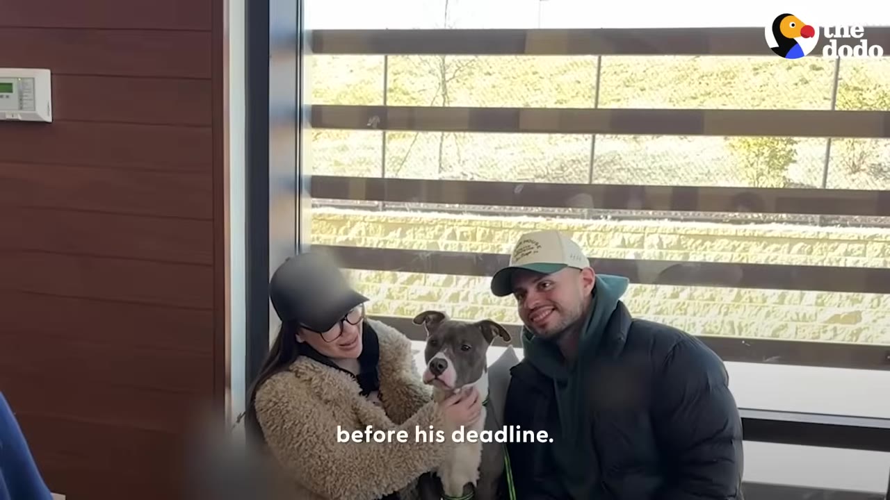 A woman wearing a beige fleece jacket and a black cap, and a man wearing a green hoodie, black puffer jacket, and a baseball cap, sit together smiling with a grey and white pit bull-type dog.