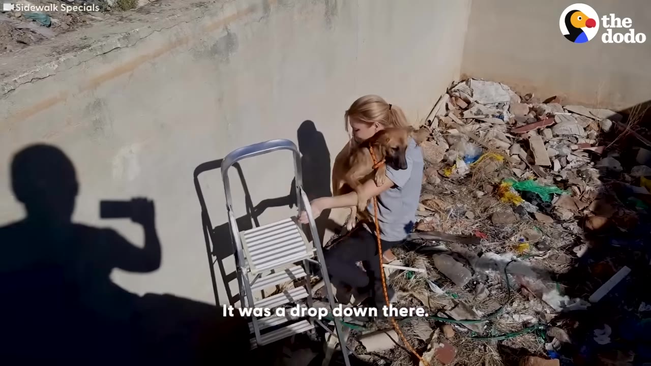 A woman holds a brown dog in her arms next to a metal stepladder inside a deep concrete pit filled with trash and debris.