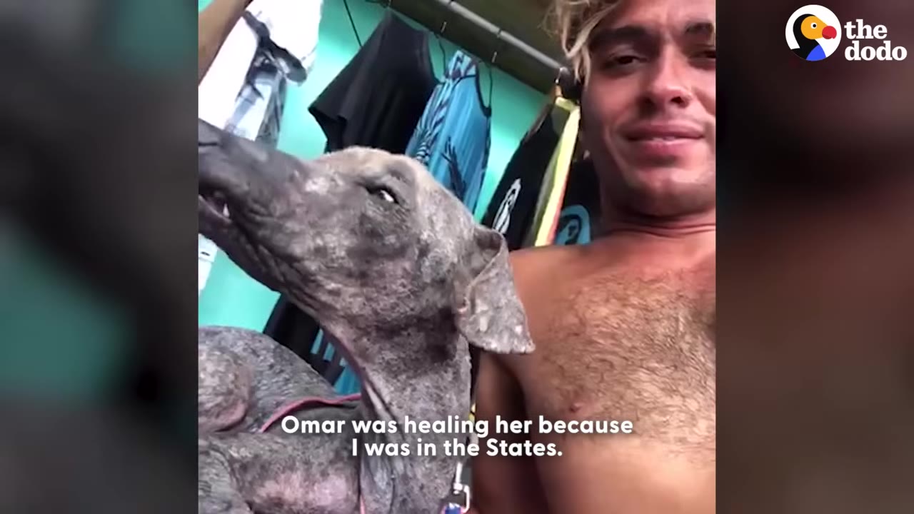 A shirtless man with blond-tipped hair smiles next to a grey, short-haired dog looking up towards him.